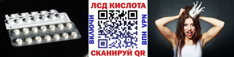 ЛСД экстази ecstasy  закладка  Новоржев 