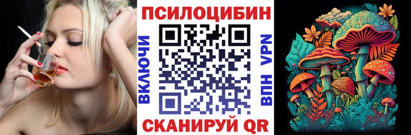 Галлюциногенные грибы Psilocybine cubensis  где купить наркоту  Новоржев 
