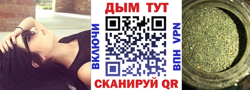 ссылка на мегу ссылки  наркота  Новоржев  Шишки марихуана MAZAR 